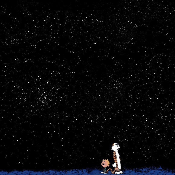 Meet your Posher, Grace - Picture 1 of 1